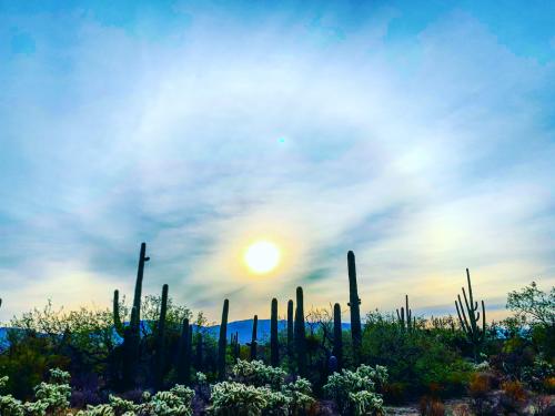 23:15:17 GMT-0700 (MST)