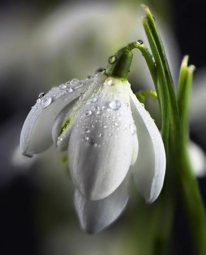 11:27:10 GMT-0600 (CST)