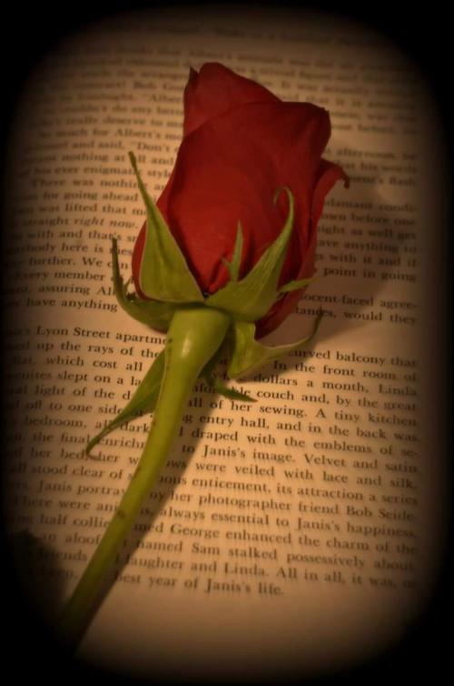 FB_IMG_1610377690703