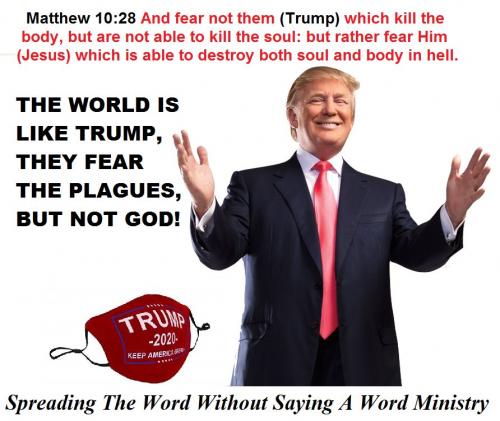 127703935_3445082742257499_149178535576023116_n