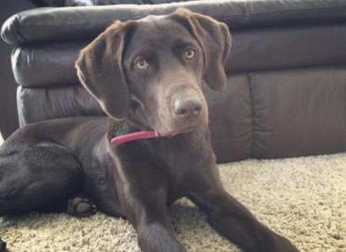 12:38:55 GMT-0800 (PST).png