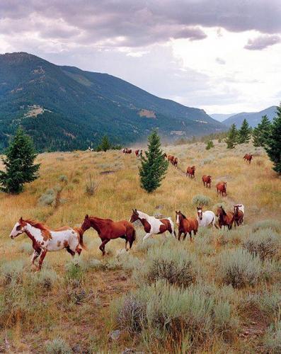 139716455_1495256007340411_3586933336446275682_n