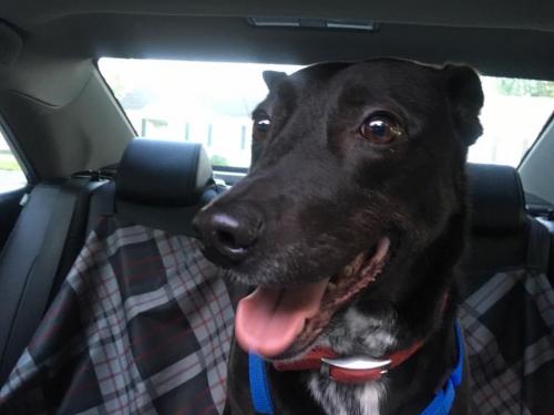 10:00:28 GMT-0600 (CST).image