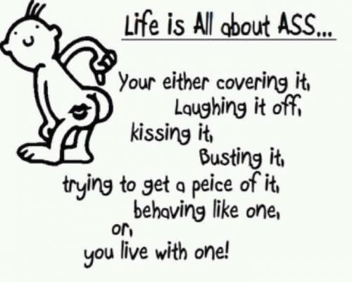 558723_424274710920651_1932331080_n_424274710920651