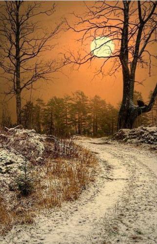 139781068_2503052926665907_410423429860931920_n