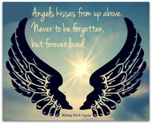 FB_IMG_1526256697075