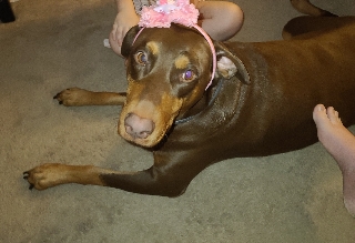 22:30:17 GMT-0600 (CST)