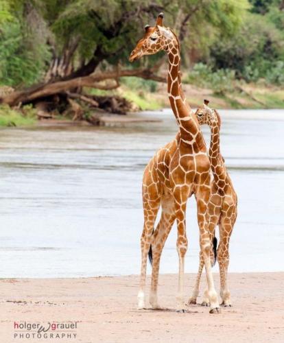 tumblr_1879cc696cf19348b37d709e7fda17ed_84e8cb94_540