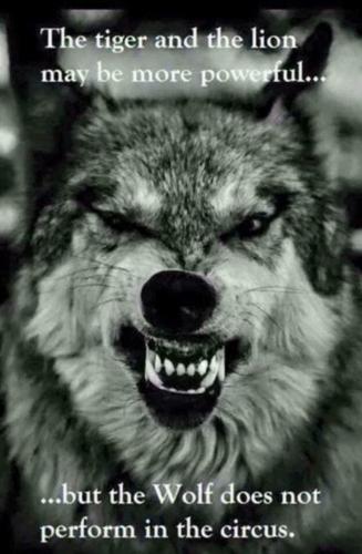 20:21:00 GMT-0600 (CST)