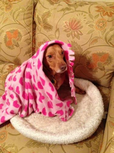 19:30:38 GMT-0600 (CST).image