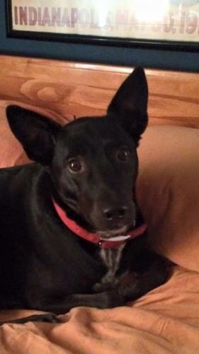 10:19:18 GMT-0600 (CST).image