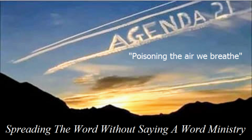 142548334_910073446403484_3985919649068464115_n