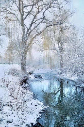 142051757_1500040636861948_5447741539117926527_n