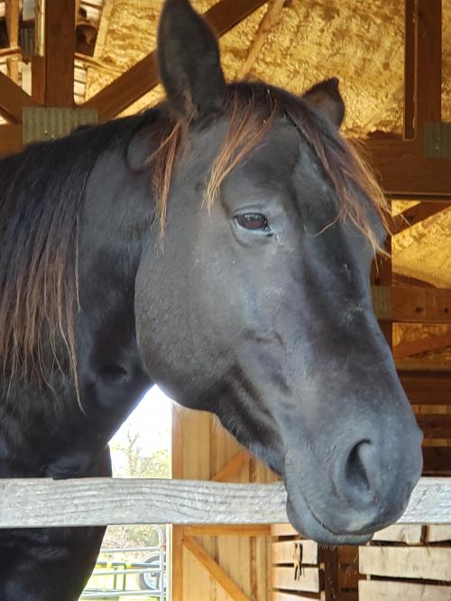 17:09:00 GMT-0600 (CST)