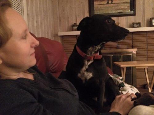 10:19:18 GMT-0600 (CST).image