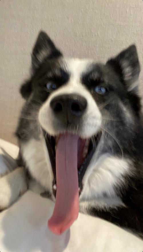 14:20:29 GMT+0100 (WAT).image