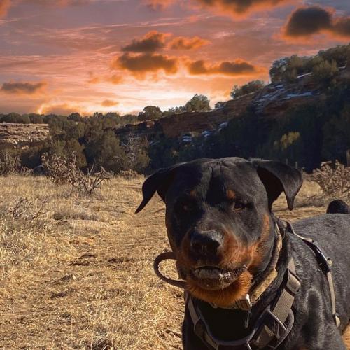 09:39:36 GMT-0700 (MST).image