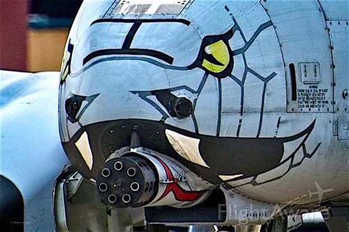 141710440_3743542149024701_5428471312002289598_n