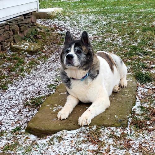 20:08:18 GMT-0500 (EST)