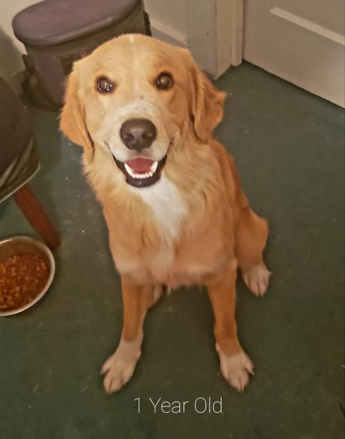 10:58:26 GMT-0600 (CST)