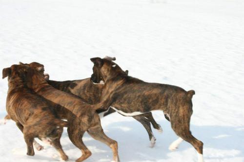 23:52:04 GMT-0500 (EST)