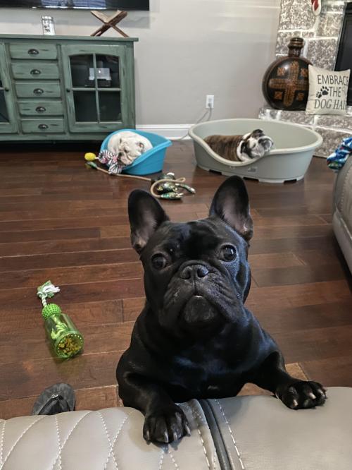 43D5F8D2-71E3-455A-B9A0-1C744FA6ED2C