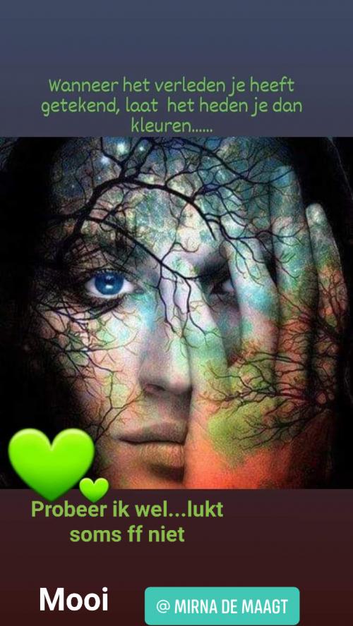 inbound1864567880404425782