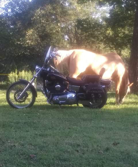 21:43:51 GMT-0600 (CST).png