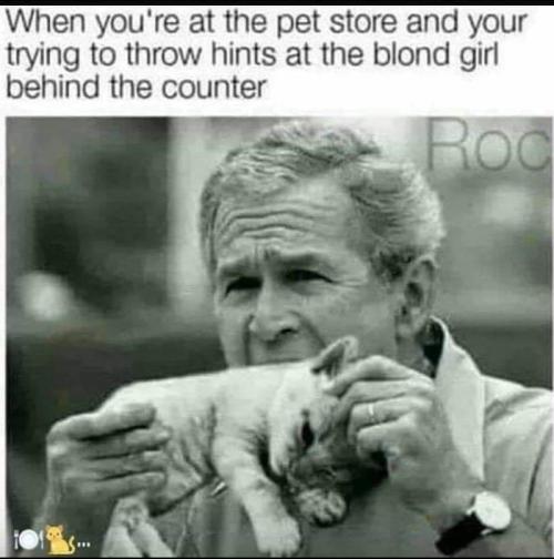 03:47:25 GMT-0600 (CST)