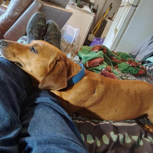 15:55:46 GMT-0600 (CST)