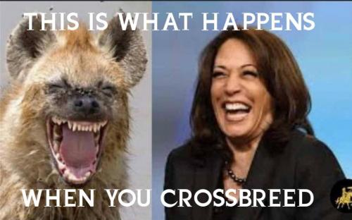 01:13:16 GMT-0500 (EST)