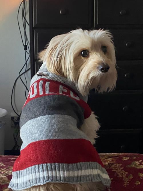 10:27:21 GMT-0600 (CST)