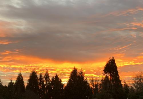 04:17:46 GMT-0800 (PST).image