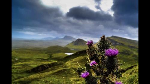 06:10:56 GMT-0700 (MST).image