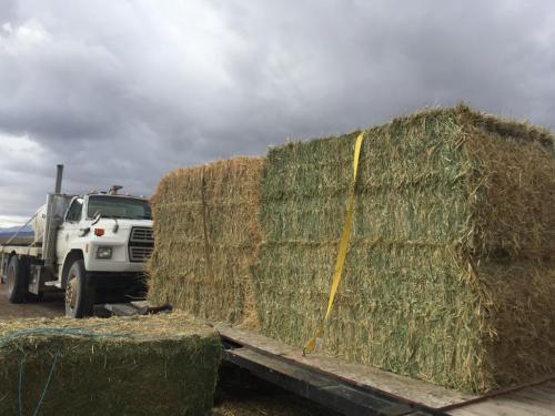 16:26:56 GMT-0800 (PST).image