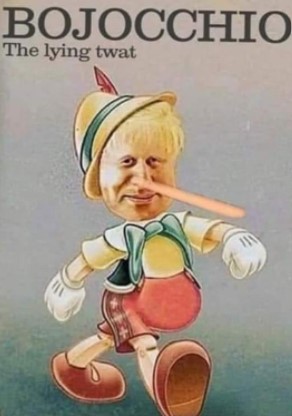 BOJO13