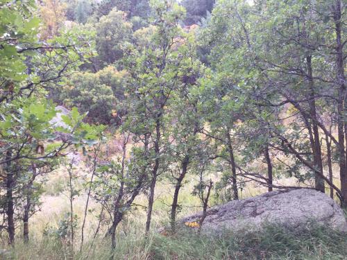 16:24:50 GMT-0700 (MST).image