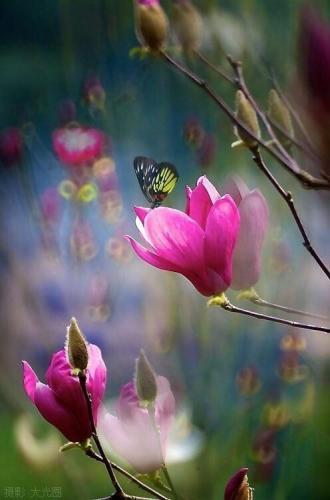 tumblr_o3mrv0KjWb1qat5pio1_500