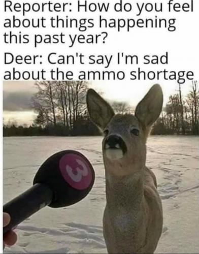 06:05:44 GMT-0500 (EST)