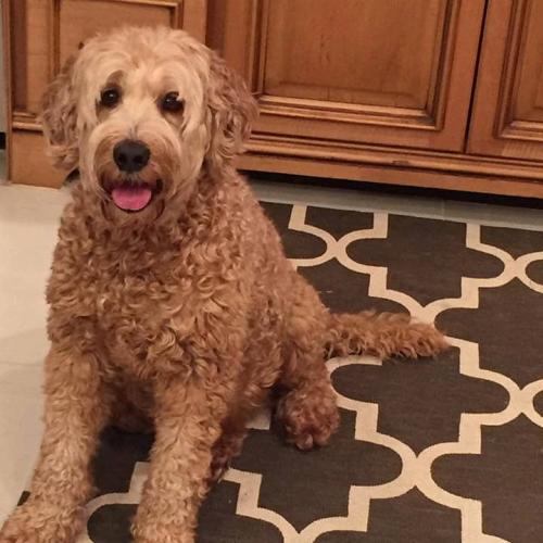 20:18:05 GMT+0100 (WAT).image