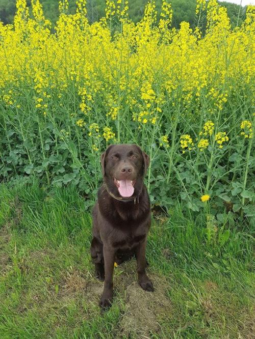 10:31:48 GMT-0500 (EST).image