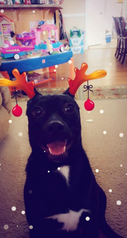 19:57:00 GMT-0600 (CST)