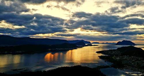 inbound8155844039718017623