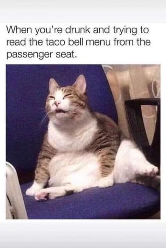 12:24:14 GMT-0800 (PST).image