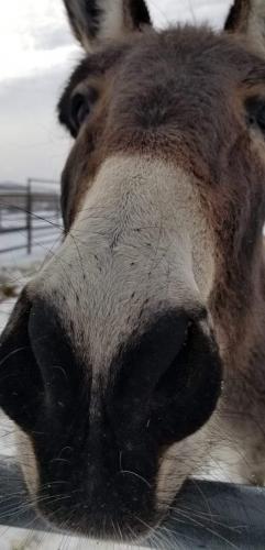 07:56:24 GMT-0800 (PST).image