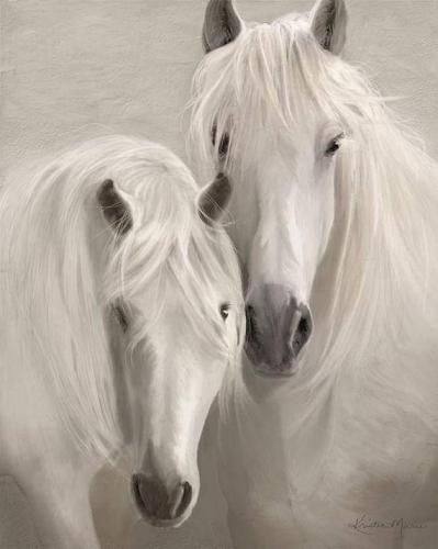 08:02:47 GMT-0600 (CST)