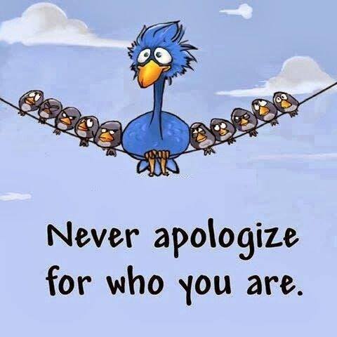 never apologize