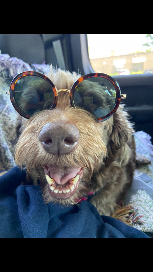 21:58:44 GMT-0600 (CST).image