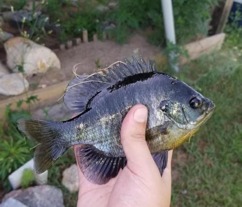 12:59:38 GMT-0500 (EST)