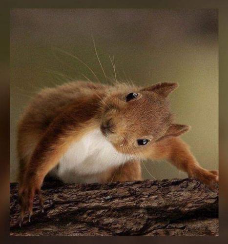 20:45:01 GMT-0600 (CST)